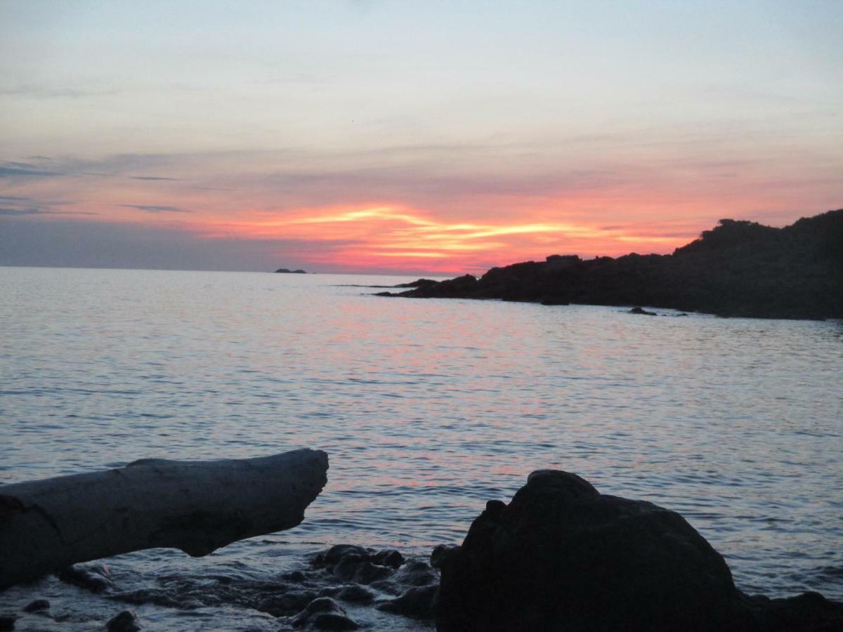 Chambre D'Hotes A 5Mn Des Plages Patrimonio Ngoại thất bức ảnh
